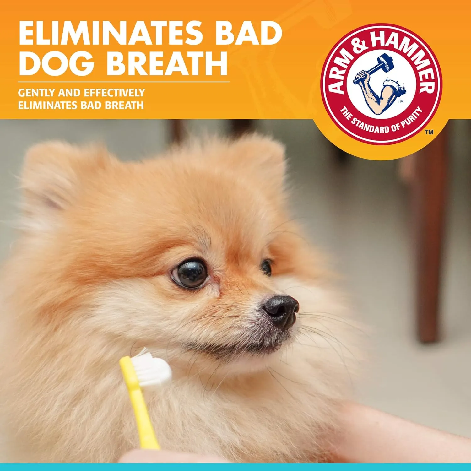 Arm & Hammer for Pets Dental Enzymatic Toothpaste for Dogs | No More Doggie Breath | Dog Toothpaste Safe for All Dogs and Puppies, Advanced Care, Chicken Flavor - 72 Pack