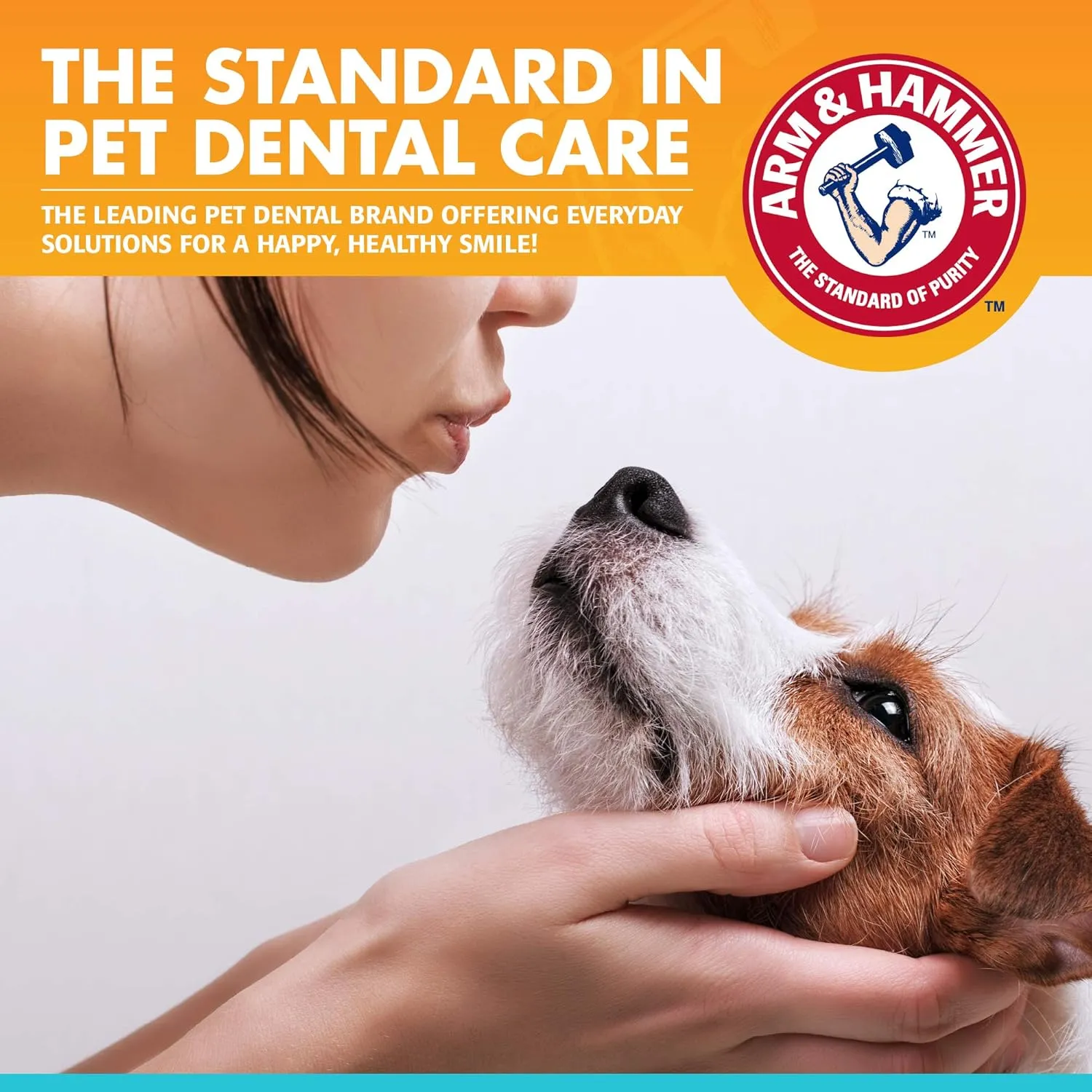 Arm & Hammer for Pets Dental Enzymatic Toothpaste for Dogs | No More Doggie Breath | Dog Toothpaste Safe for All Dogs and Puppies, Advanced Care, Chicken Flavor - 72 Pack