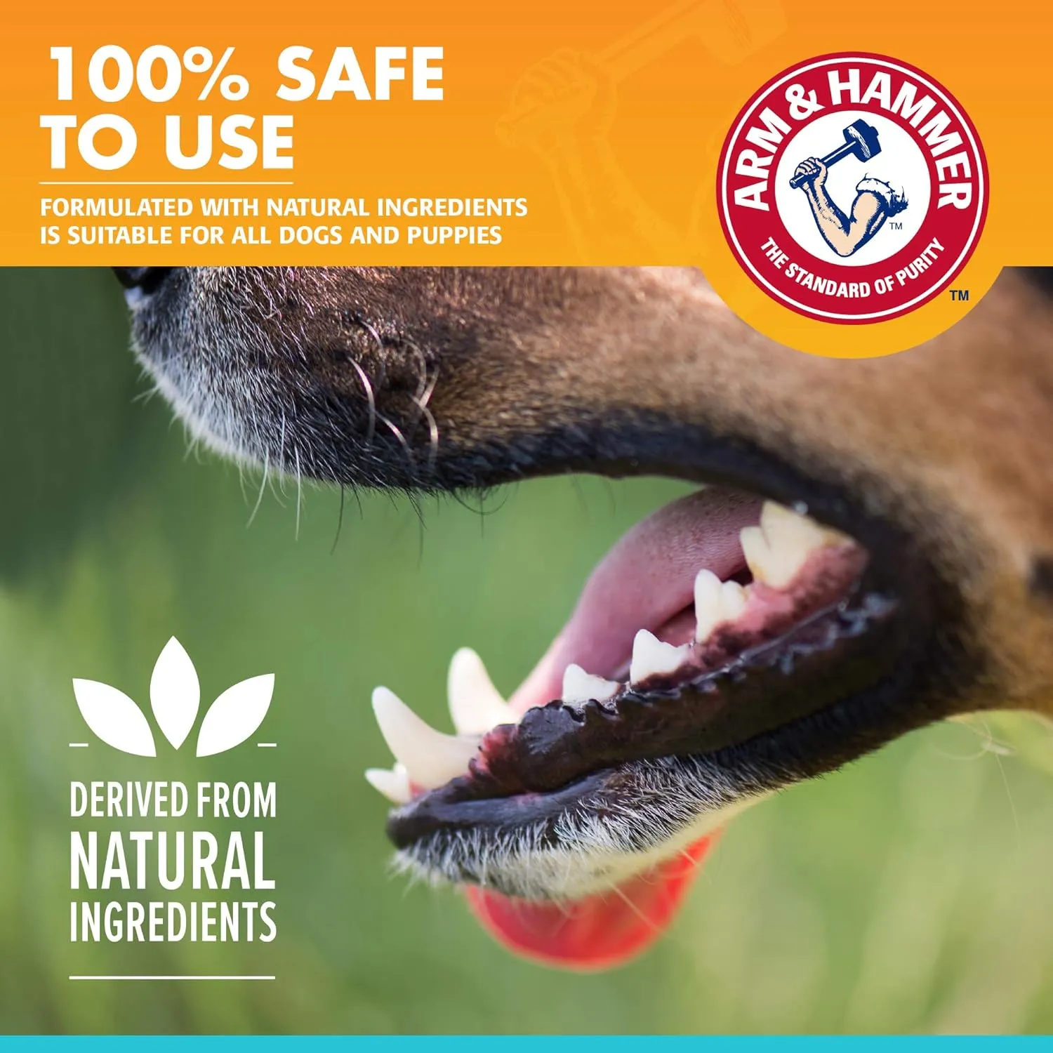 Arm & Hammer for Pets Dental Enzymatic Toothpaste for Dogs | No More Doggie Breath | Dog Toothpaste Safe for All Dogs and Puppies, Advanced Care, Chicken Flavor - 72 Pack