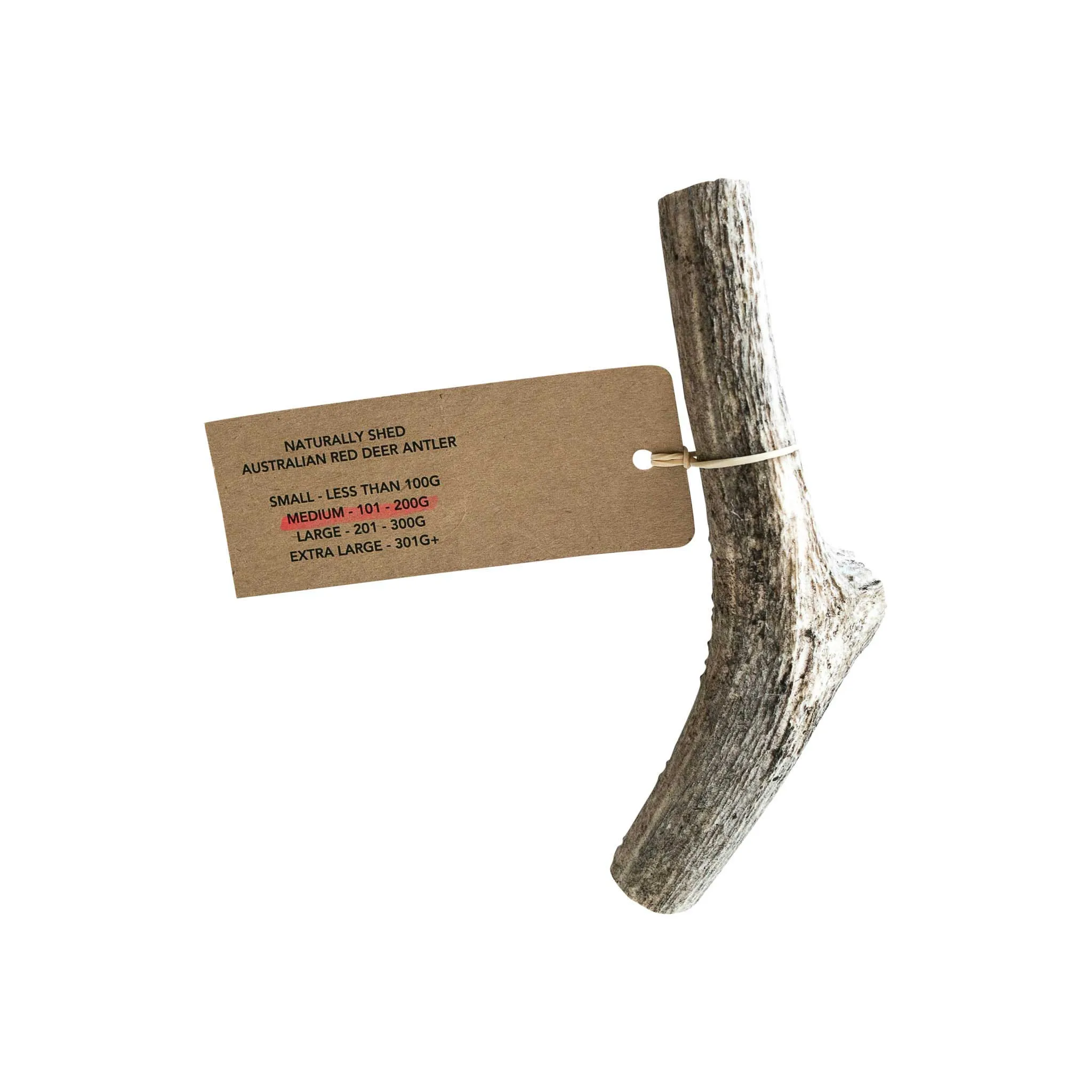 Australian Red Deer Antlers