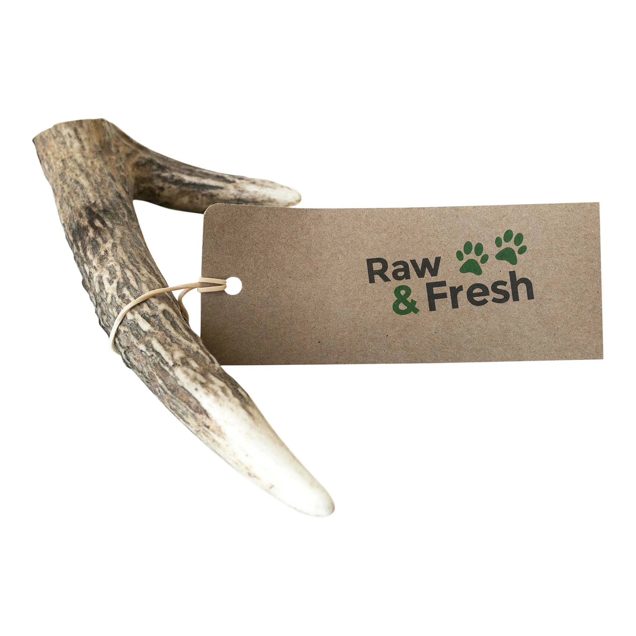 Australian Red Deer Antlers