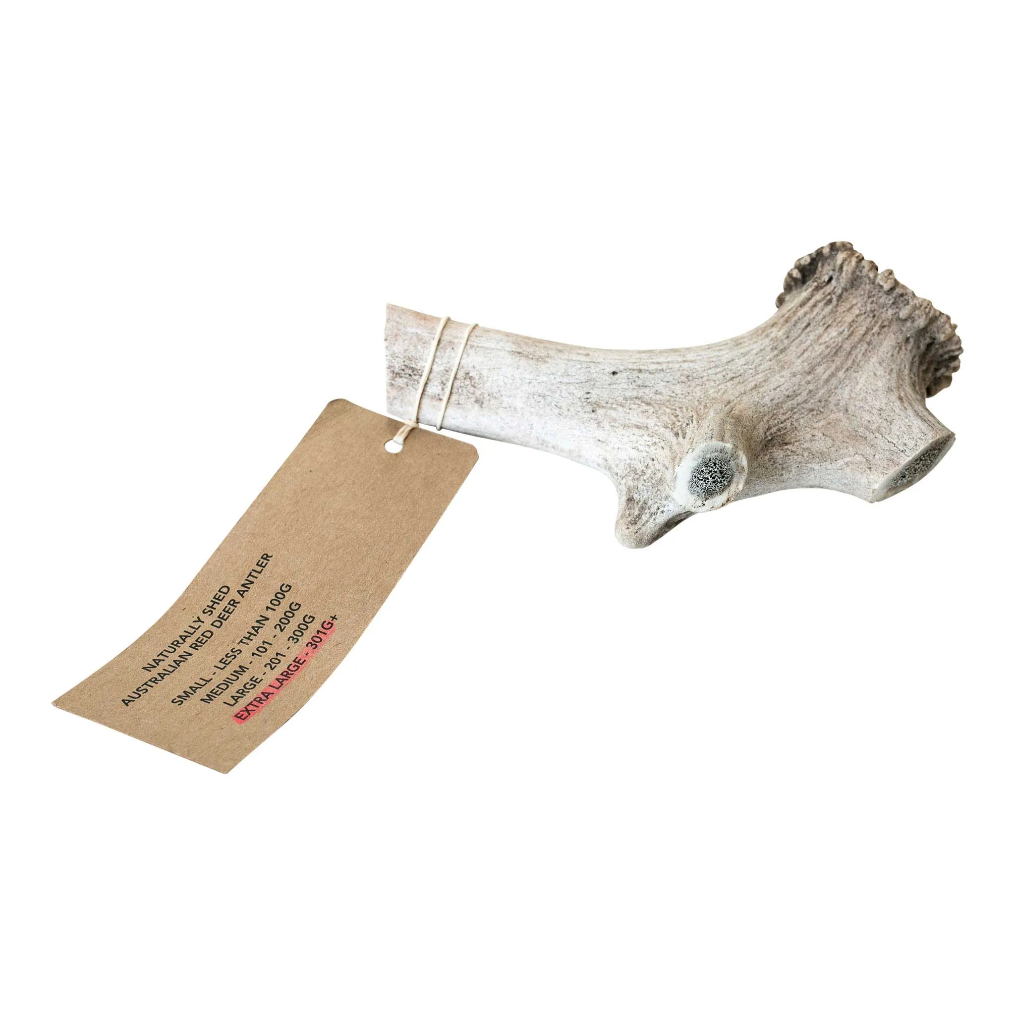 Australian Red Deer Antlers