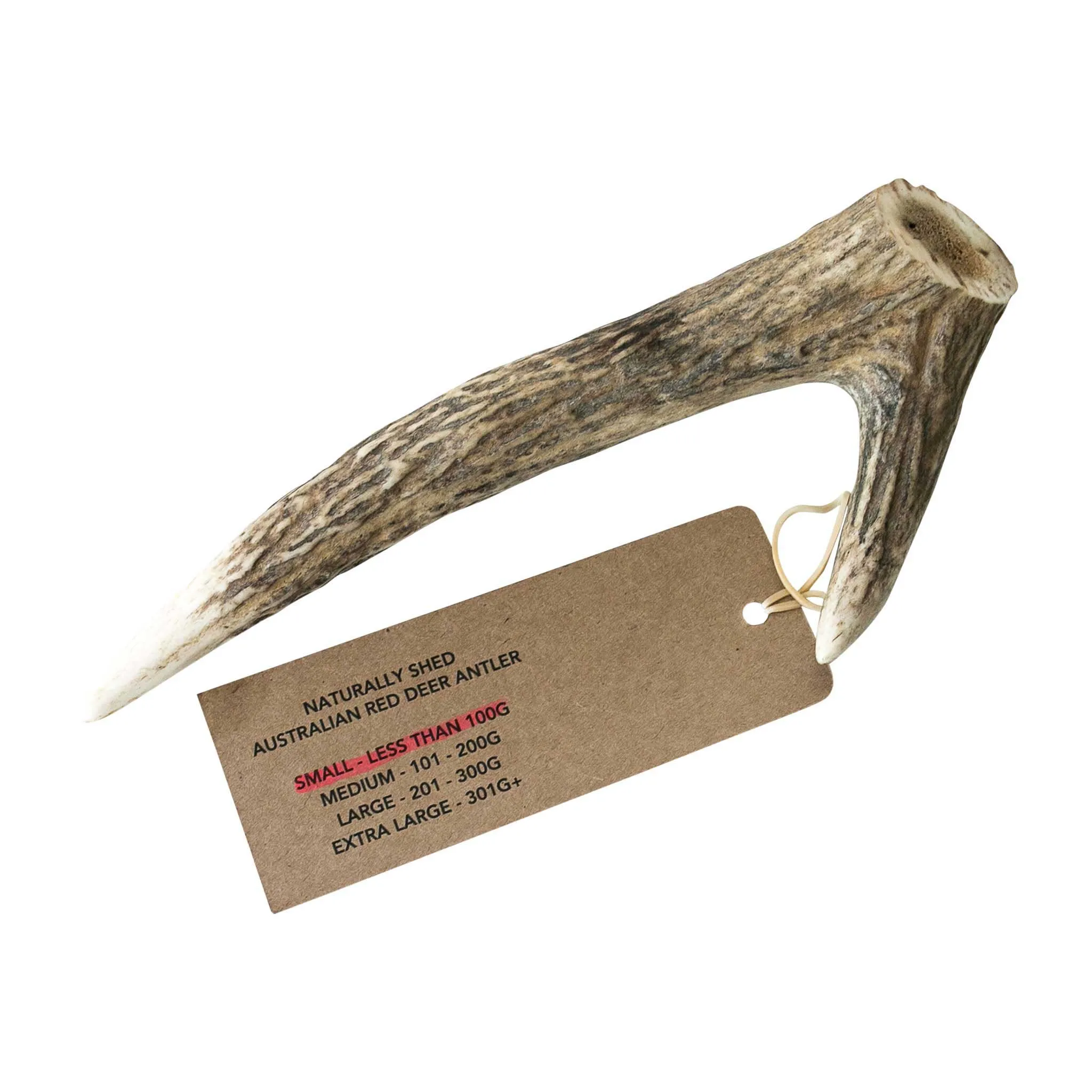 Australian Red Deer Antlers