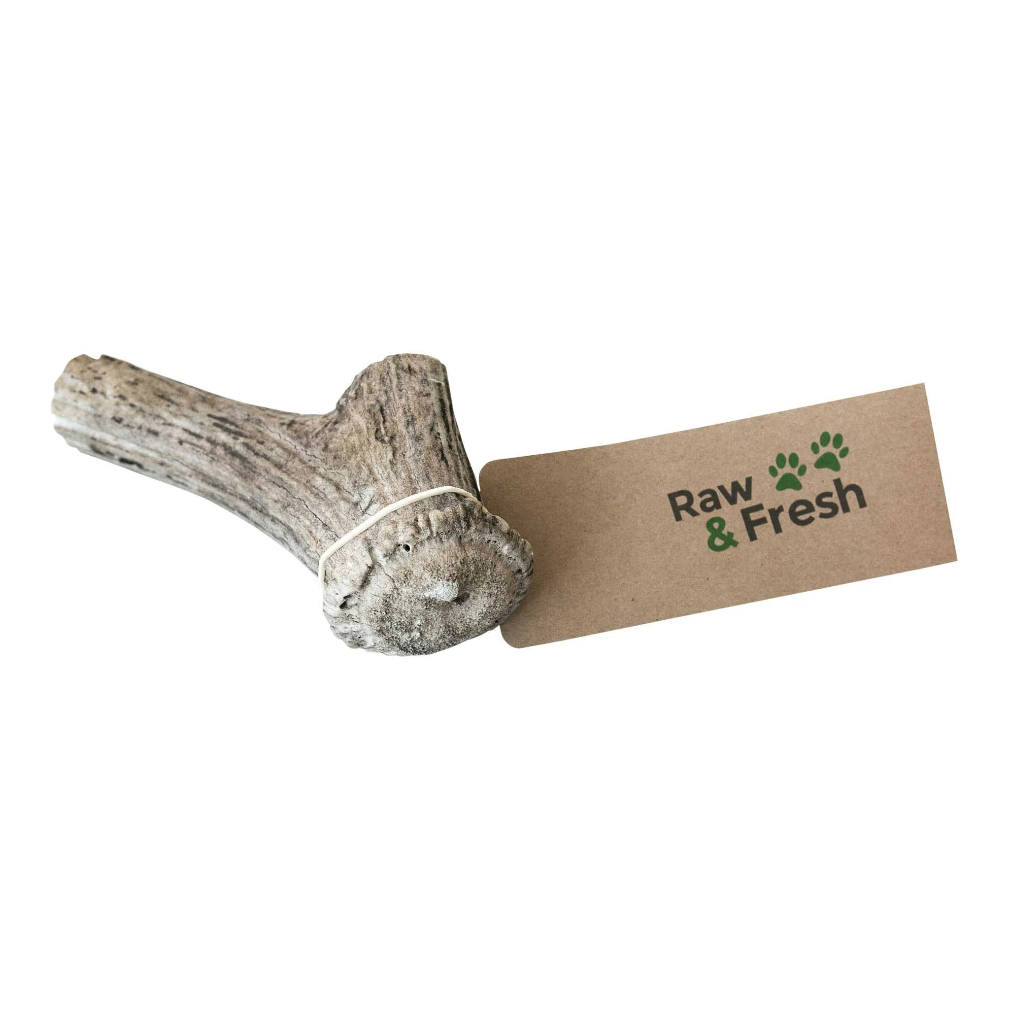 Australian Red Deer Antlers