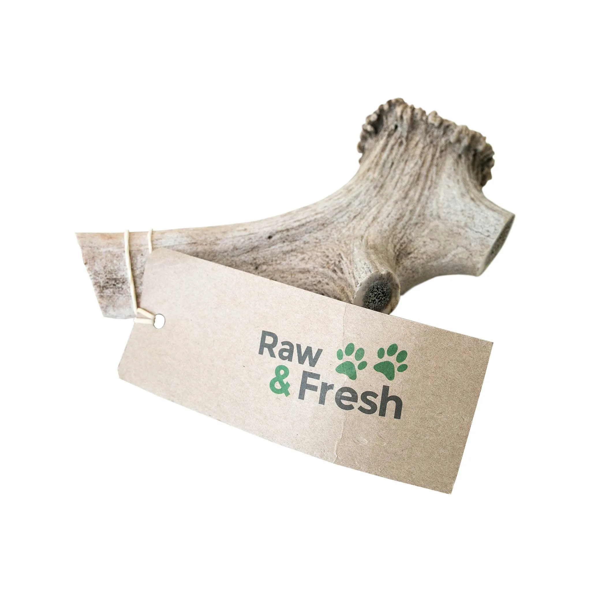 Australian Red Deer Antlers