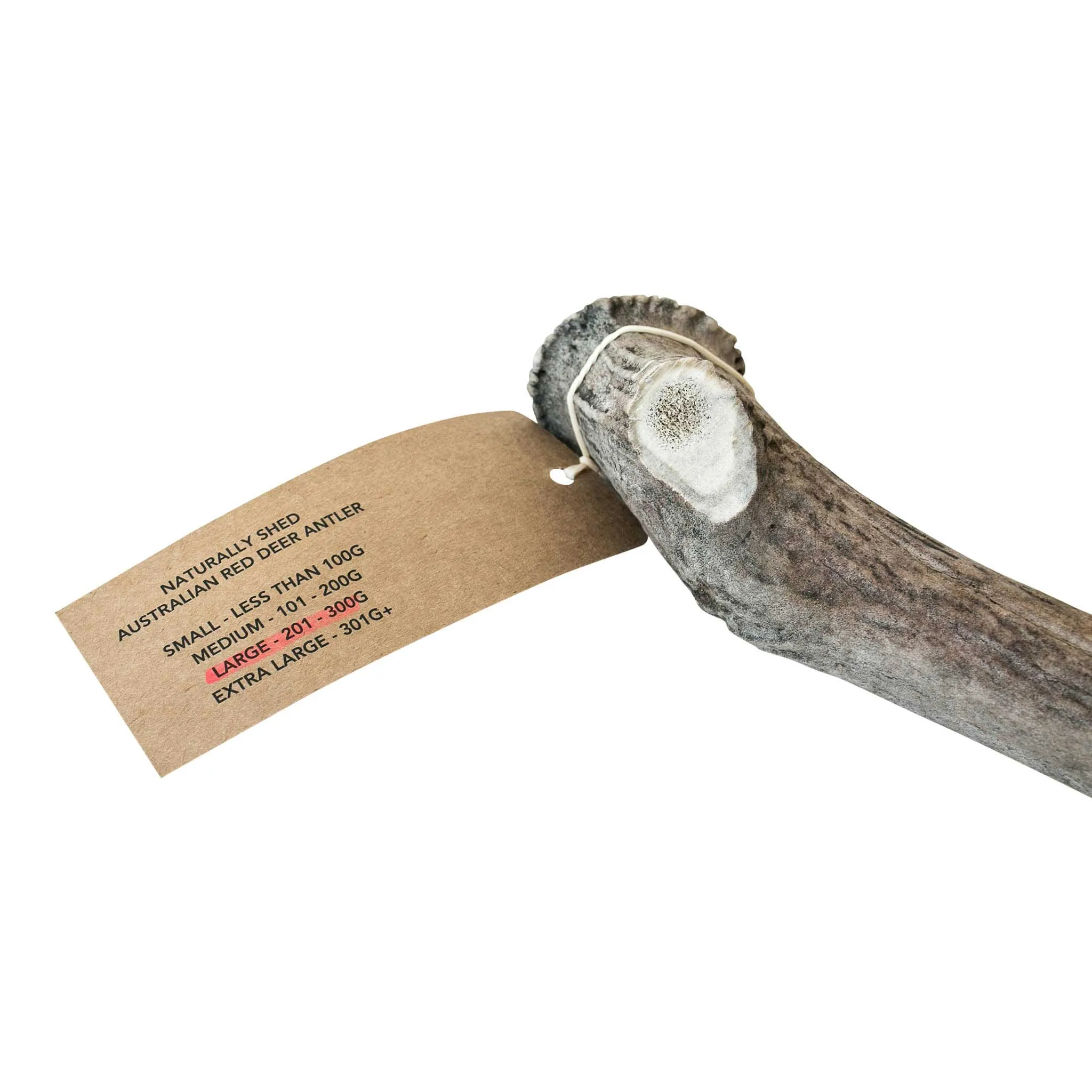 Australian Red Deer Antlers
