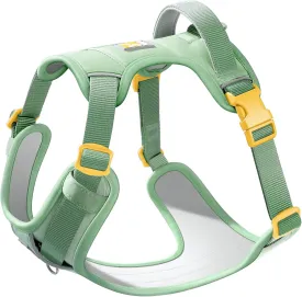 Core Dog Harness with Handle and Pocket, Sliver ion Inner Fabric, Wear-Resistant Shell Fabric, Reflective and Soft Padded (Avocado Green, Size Medium)