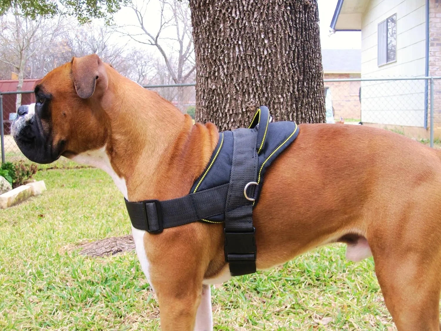 Dean and Tyler DT Dog Harness, Black With Yellow Trim, Large - Fits Girth Size: 32-Inch to 42-Inch
