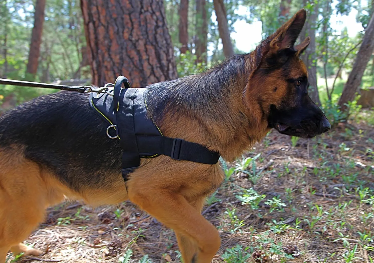 Dean and Tyler DT Dog Harness, Black With Yellow Trim, Large - Fits Girth Size: 32-Inch to 42-Inch