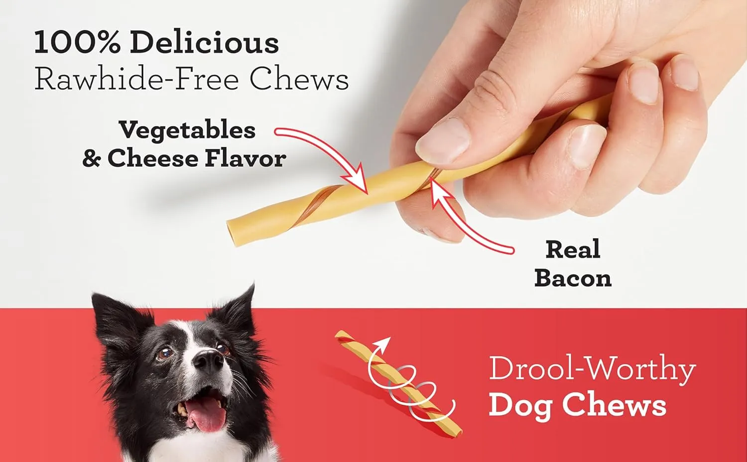 DreamBone Twist Sticks With Real Bacon And Cheese Flavor, Rawhide-Free Chews For Dogs, 50 Count (Pack of 1)