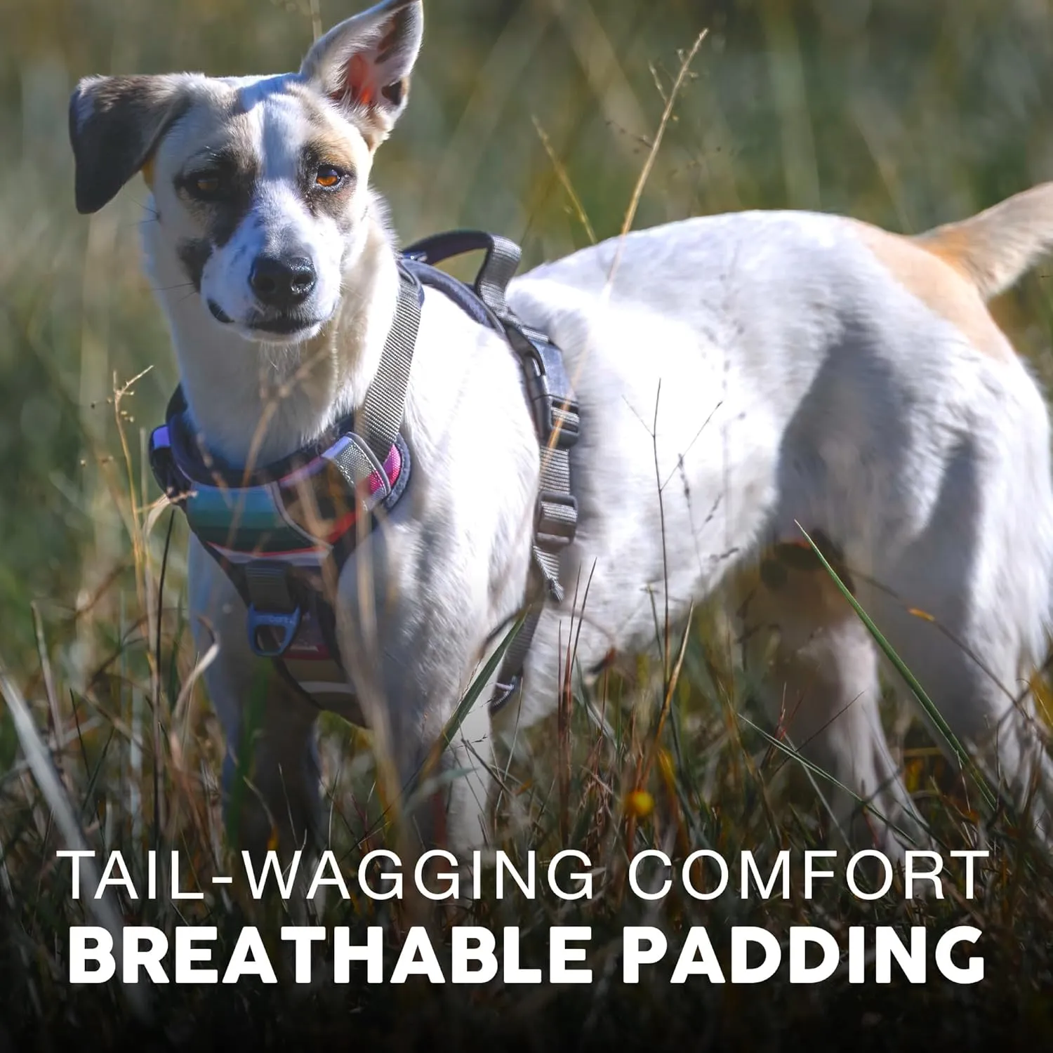 Embark Adventure Dog Harness, Reflective Trim No Pull Harness for Large Dogs - Military Grade Nylon, Front Clip with Gel Lined Handle. Soft & Padded Puppy Harnesses for Any Breed