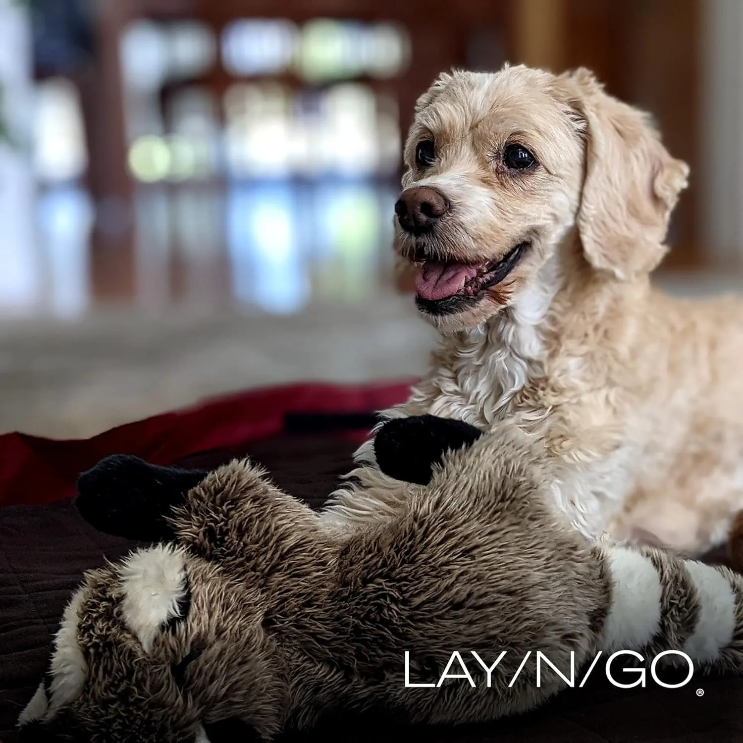 Lay-n-Go 3-in-1 Portable Large Dog Bed - Comfortable & Fleece-Lined w/Wide Strap, Zippered Pocket & More - Machine Washable, Foldable Dog Bed (44", Burgundy/Chocolate)