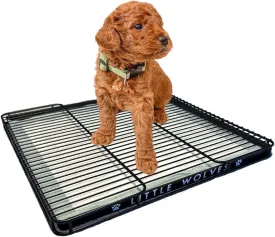 Little Wolves Puppy Potty Tray Essentials: 22x22 Reusable Heavy-Duty Tray w/Dog Pee Pads, Housebreaking Supplies, Pet Products & More for Dogs & Small Pets