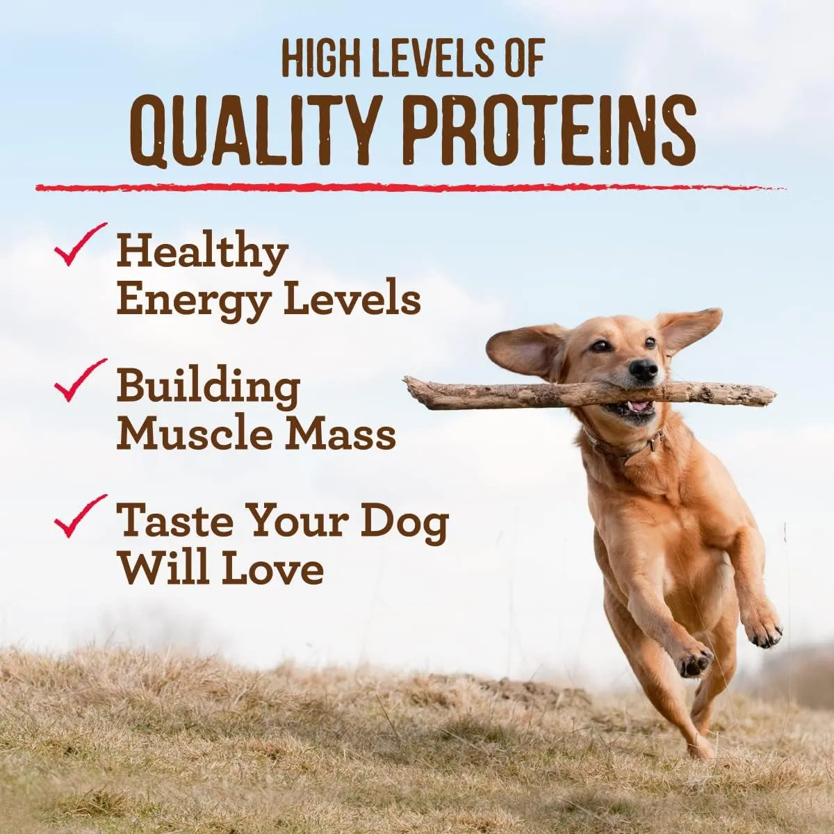 Merrick Premium Grain Free Dry Senior Dog Food, Wholesome And Natural Kibble, Real Chicken And Sweet Potato - 4.0 lb. Bag