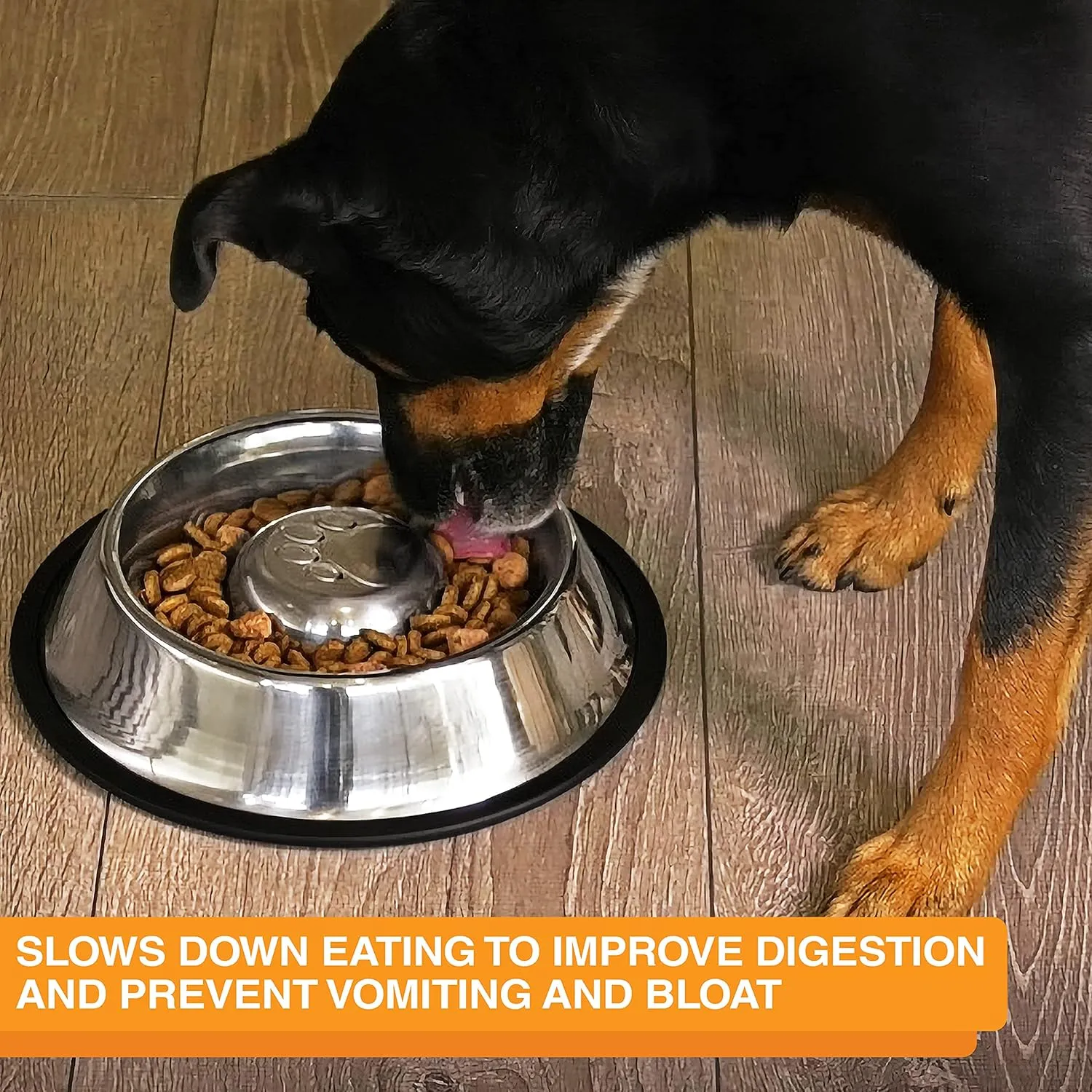 Neater Pet Brands Stainless Steel Slow Feed Bowl - Non-Tip & Non-Skid - Stops Dog Food Gulping, Bloat, Indigestion, and Rapid Eating (3/4 Cup)