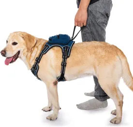 No-Choke Dog Harness with 2 Pockets, Adjustable Soft No Pull Dog Harness with Front & Back 2 Leash Hooks, Reflective Dog Vest with Easy Control Handle (Blue, M)