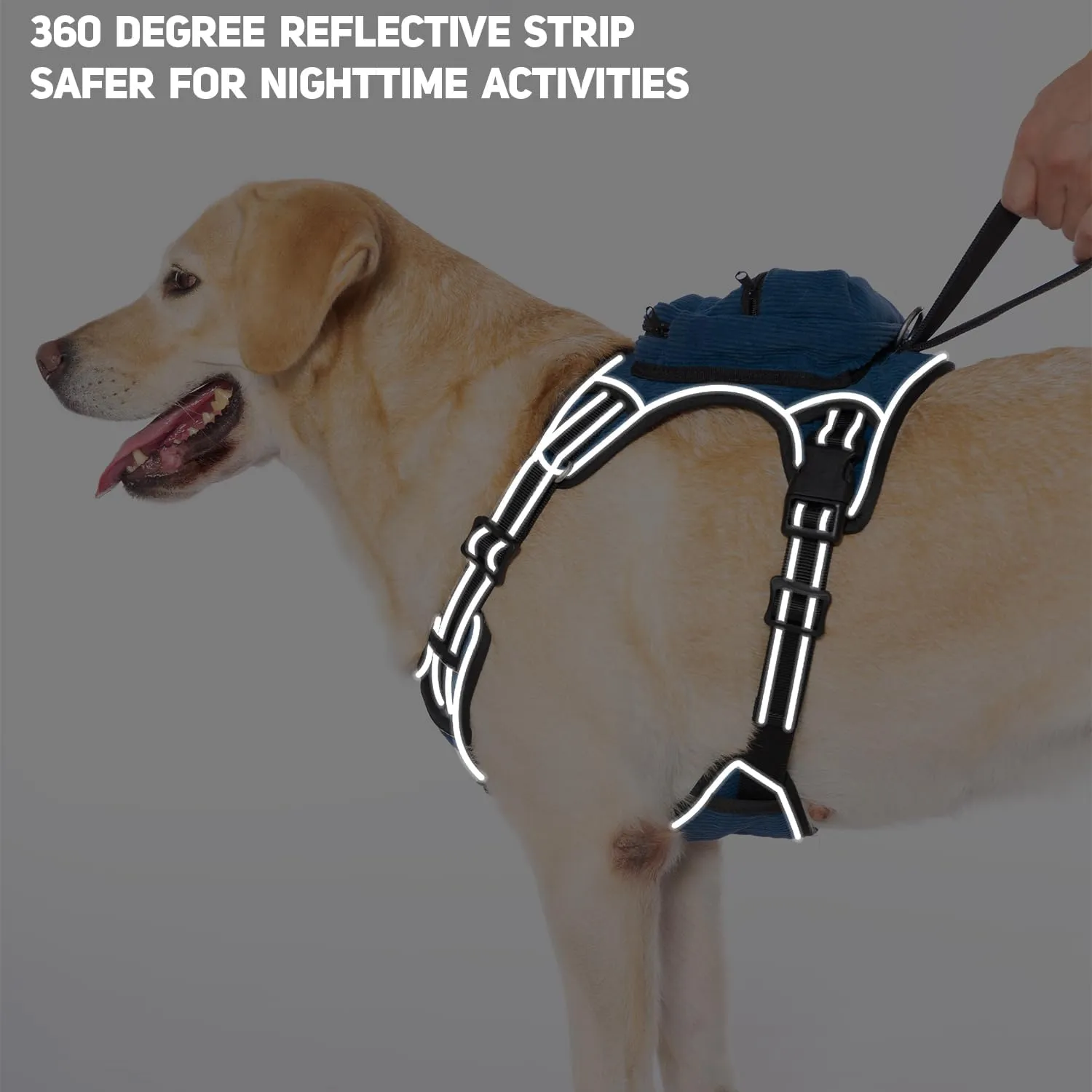 No-Choke Dog Harness with 2 Pockets, Adjustable Soft No Pull Dog Harness with Front & Back 2 Leash Hooks, Reflective Dog Vest with Easy Control Handle (Blue, M)