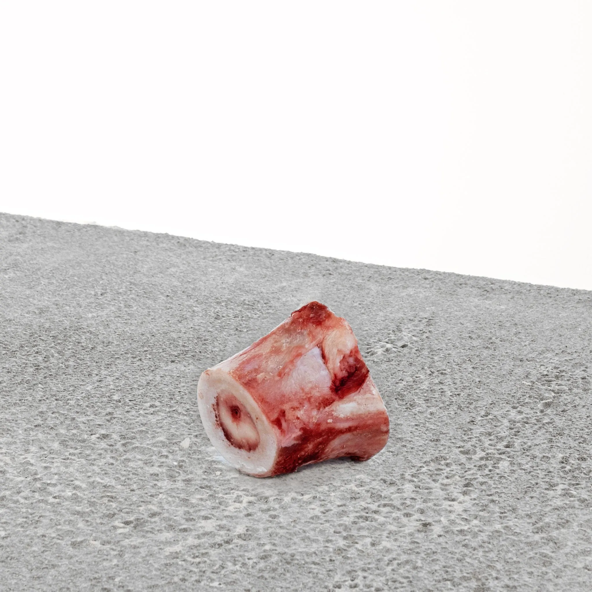 Raw Recreational Bones for Dogs and Cats <br> Beef Marrow