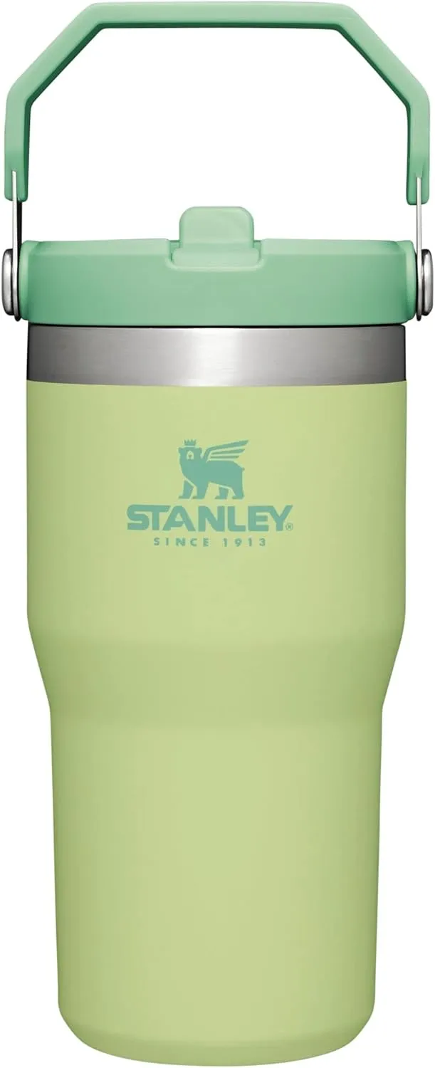 Stanley IceFlow Flip Straw Tumbler with Handle 20 oz | Twist On Lid and Flip Up Straw | Leak Resistant Water Bottle | Insulated Stainless Steel |BPA-Free | Citron