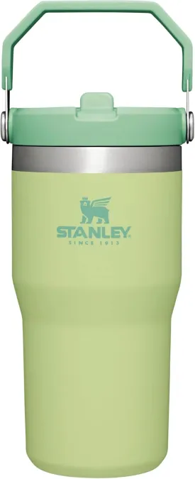 Stanley IceFlow Flip Straw Tumbler with Handle 20 oz | Twist On Lid and Flip Up Straw | Leak Resistant Water Bottle | Insulated Stainless Steel |BPA-Free | Citron