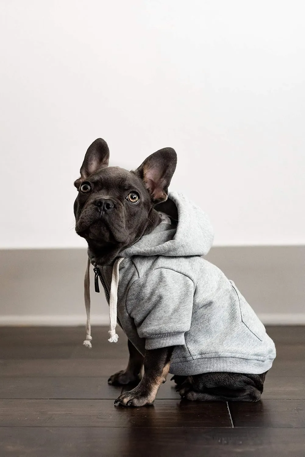 Zip Up Adventure Dog Hoodie with Hook & Loop Pockets and Adjustable Drawstring Hood - XXS to XXL - Multiple Colors - Comfortable & Versatile Dog Hoodies (Light Grey, XS)