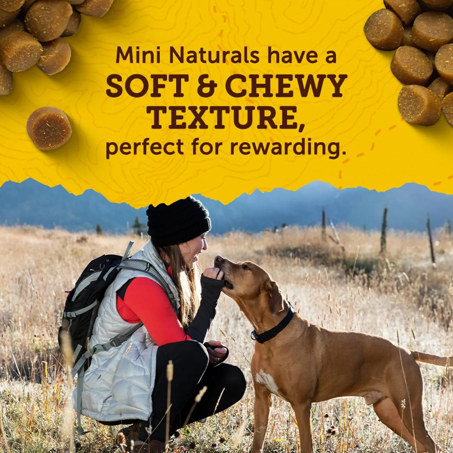 Zukes Mini Naturals Dog Training Treats for Dogs of All the Sizes, Pet Treats made with Real Peanut Butter, 16 oz. Resealable Pouch - 16 oz. Bag